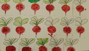 588548867_1352403623563797_48760187992818128_n