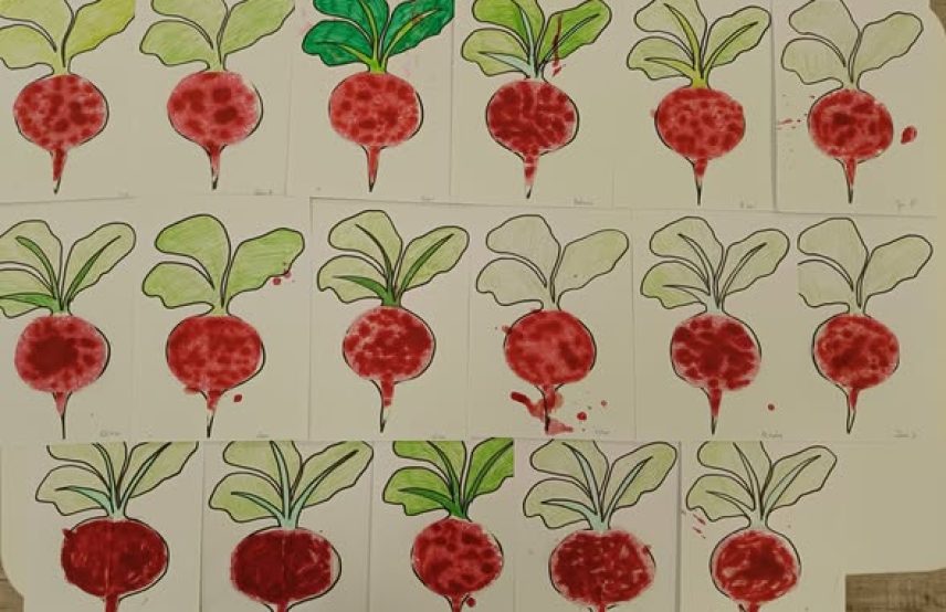 588548867_1352403623563797_48760187992818128_n